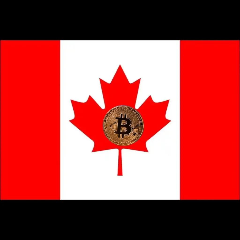 狗狗币的法律地位与监管：不同国家对加密货币的态度_狗狗币加密算法_加密货币狗狗币再创新高