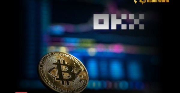 欧交钱包app下载官网(439)